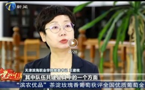 天津电视台新闻频道报道永利官网与新城镇党建引领智慧助老工作