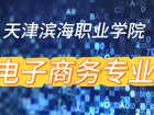 电子商务专业视频简介