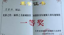 数字视频工作室学生在新城镇摄影及短视频大赛中包揽佳绩