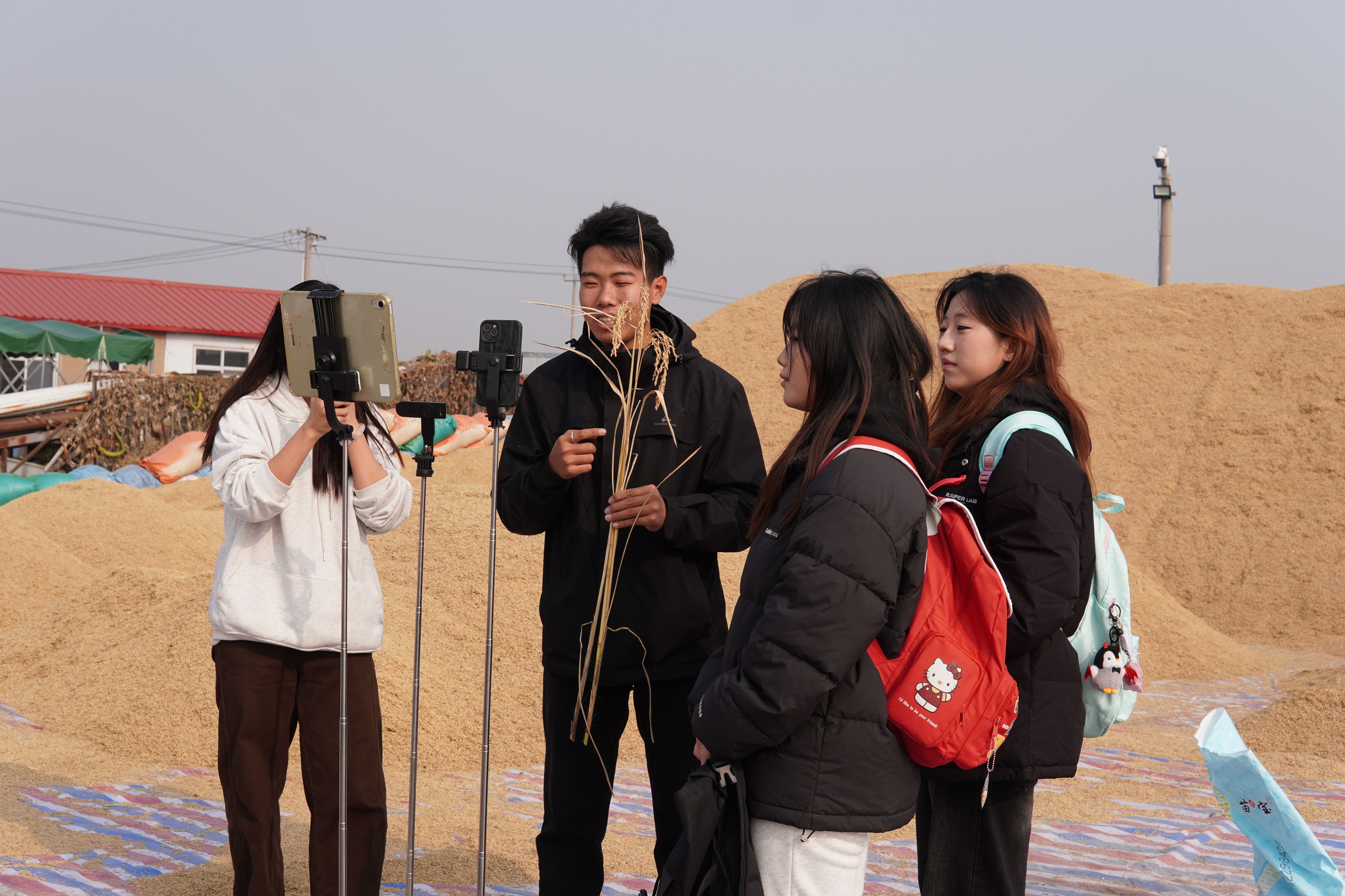 3学生主播团队开启“云游稻田”直播