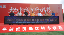 【职业教育活动周】劳动铸就梦想，数字赋能振兴——永利官网师生深度参与新城镇西红柿丰收嘉年华