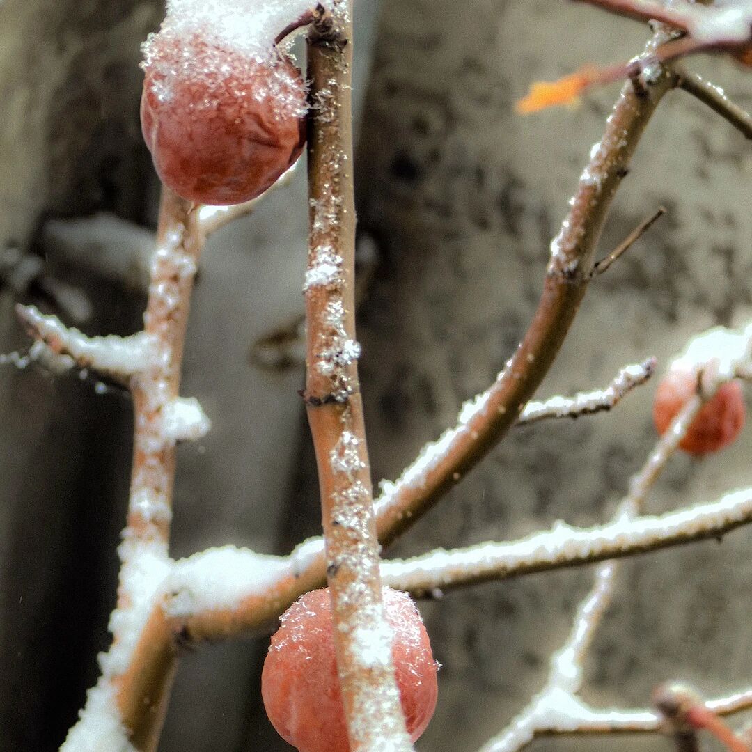 微信图片_20251030144043