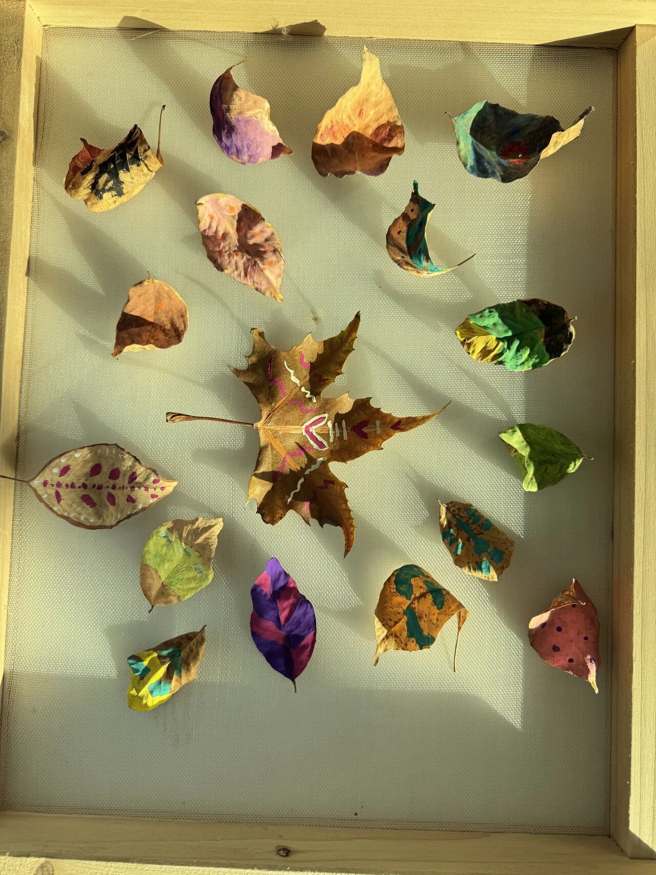 微信图片_20251209195948